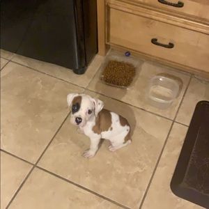 Meet your Posher, Dylan